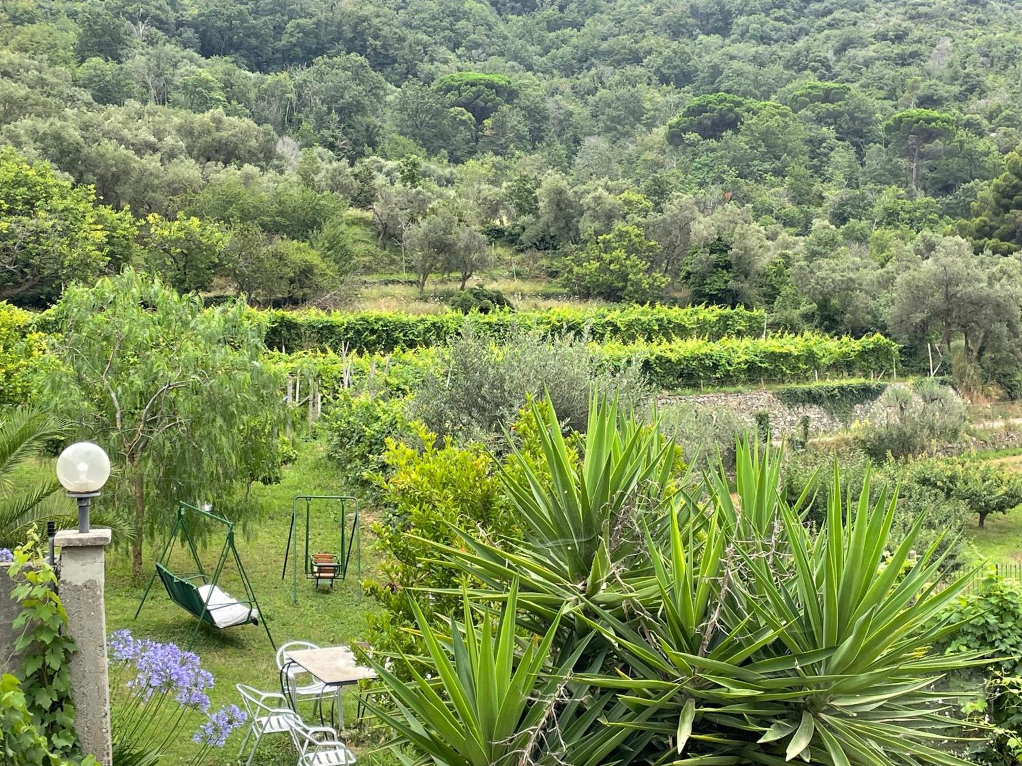 Agriturismo Barilaro Finale Ligure Εξωτερικό φωτογραφία