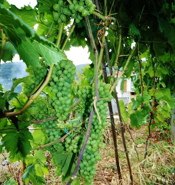Agriturismo Barilaro Finale Ligure Εξωτερικό φωτογραφία