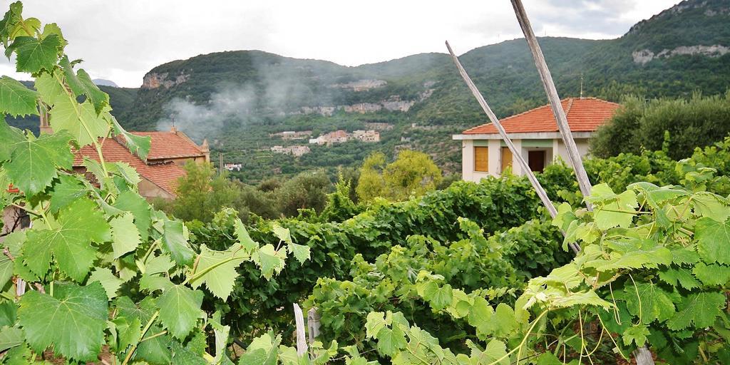Agriturismo Barilaro Finale Ligure Εξωτερικό φωτογραφία